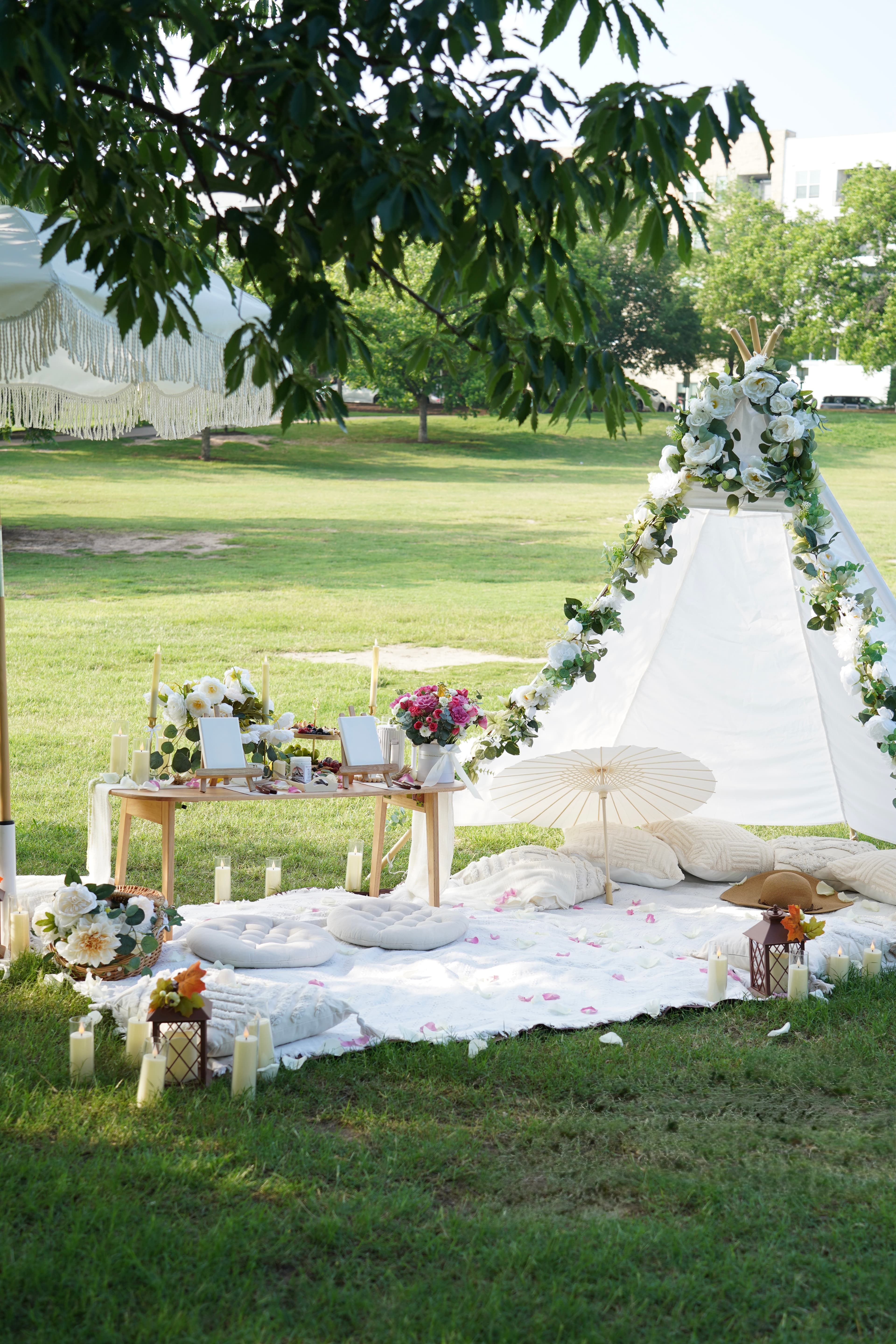 Styled romantic picnic for two at a scenic Austin location